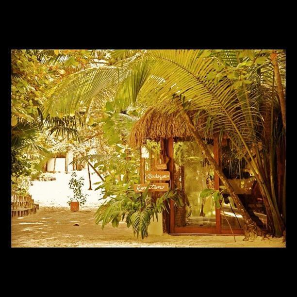 Casa Violeta Hotel Tulum Ngoại thất bức ảnh