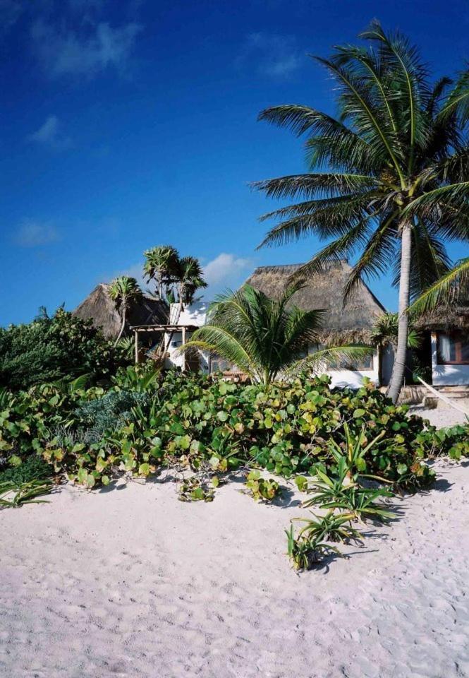 Casa Violeta Hotel Tulum Ngoại thất bức ảnh