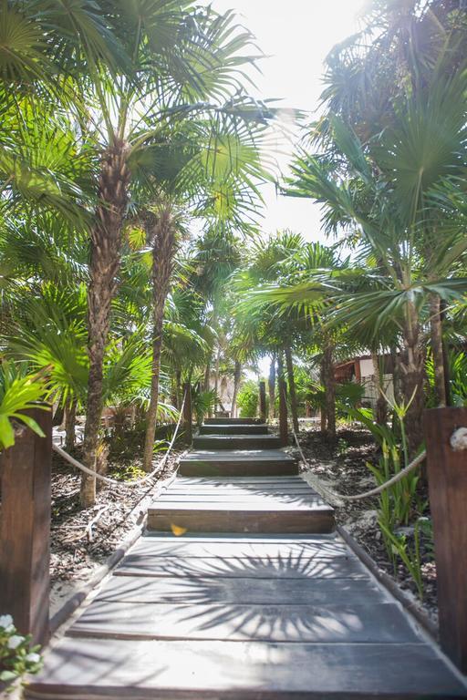 Casa Violeta Hotel Tulum Ngoại thất bức ảnh