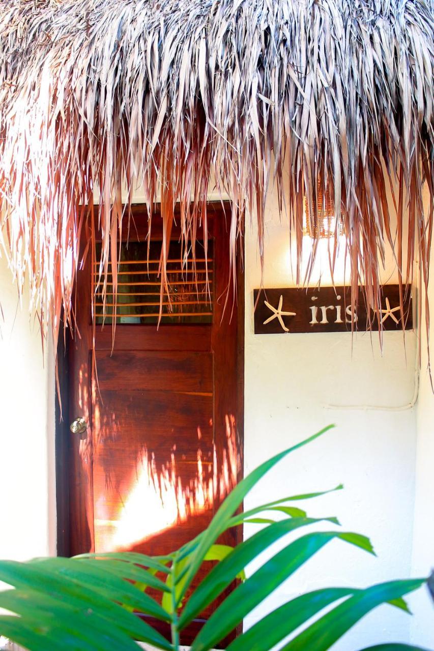 Casa Violeta Hotel Tulum Ngoại thất bức ảnh